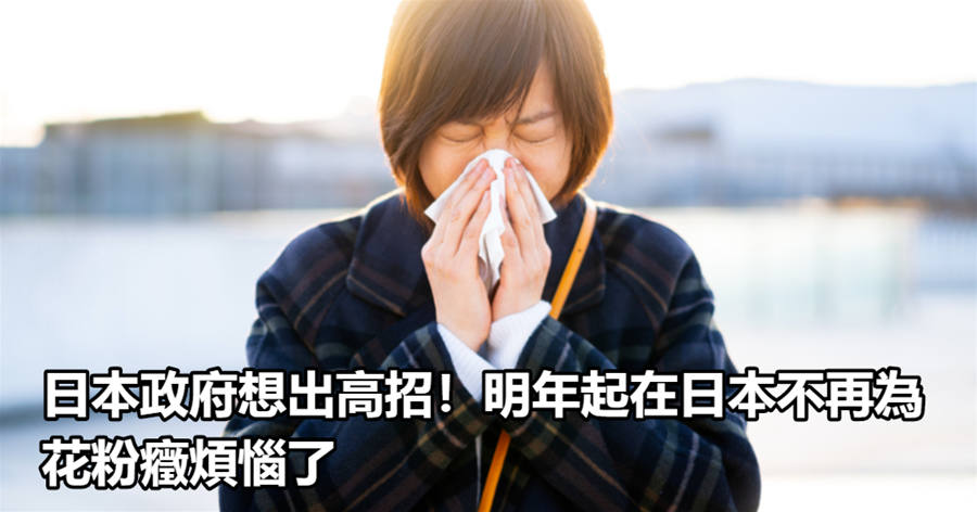 日本政府想出高招！明年起在日本不再為花粉癥煩惱了
