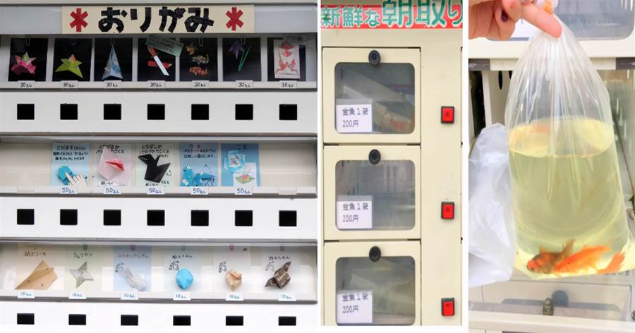 日本的販賣機到底有多「全能」？不僅能賣昆蟲，還賣活的金魚！