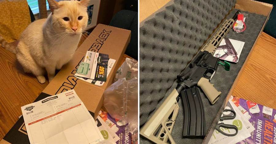 日本網友網購貓糧，結果收到一把真槍？網友：銀行門口劫匪打開後箱，掏出一袋貓糧！