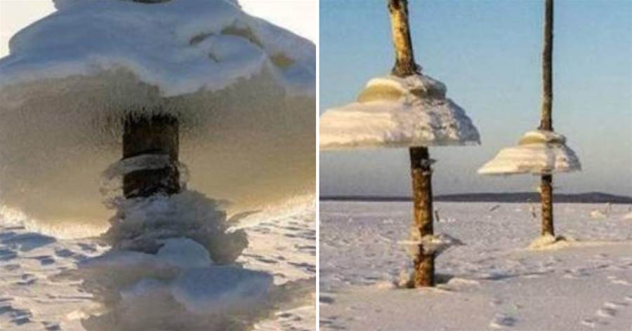俄羅斯乾乾淨淨的水庫，一夜之間突然出現「冰蘑菇」？