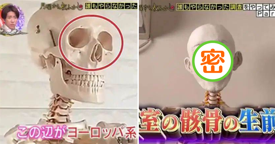 通過骷髏模型能看出來生前是帥哥？日本節目將其復原後長這樣！