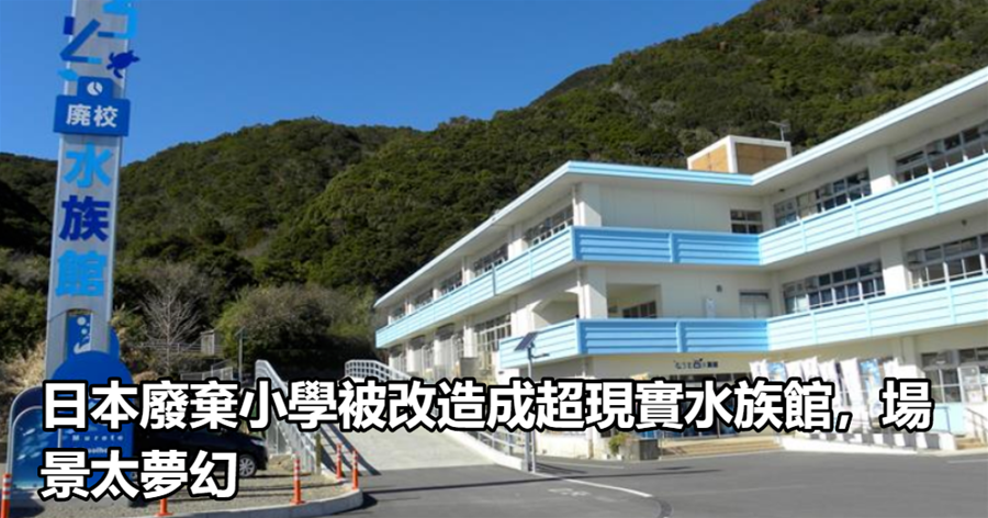 日本廢棄小學被改造成超現實水族館，場景太夢幻